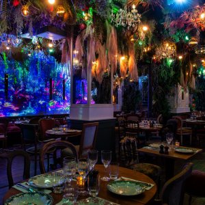 Photo 0 - Escapade dans la jungle dans un restaurant immersif parisien  - 