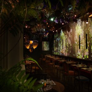 Photo 1 - Jungle getaway in an immersive Parisian restaurant - 