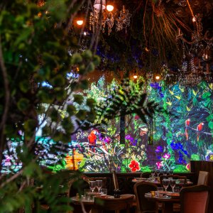 Photo 3 - Escapade dans la jungle dans un restaurant immersif parisien  - 