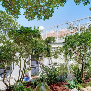 Photo 7 - Villa au Roucas Blanc avec vue mer, jardin et piscine - Jardin tropical