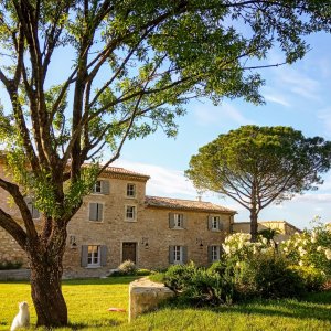 Photo 2 - Jardin méditerranéen d'un Domaine viticole en Provence avec piscine - Jardins du Domaine