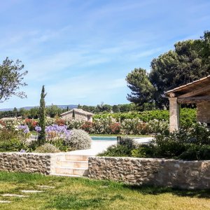 Photo 16 - Jardin méditerranéen d'un Domaine viticole en Provence avec piscine - Vue jardin
