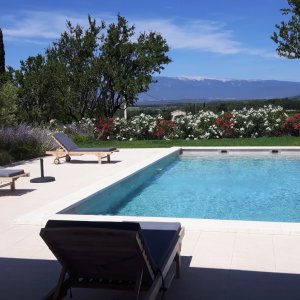 Photo 12 - Jardin méditerranéen d'un Domaine viticole en Provence avec piscine - Piscine vue Ventoux