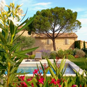 Photo 3 - Jardin méditerranéen d'un Domaine viticole en Provence avec piscine - Piscine du Domaine viticole
