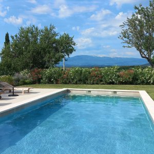Photo 13 - Jardin méditerranéen d'un Domaine viticole en Provence avec piscine - Piscine du Domaine viticole, vue Ventoux