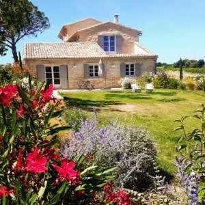 Photo 5 - Jardin méditerranéen d'un Domaine viticole en Provence avec piscine - Location gîte