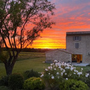 Photo 18 - Jardin méditerranéen d'un Domaine viticole en Provence avec piscine - Coucher de soleil sur les vignes du Domaine