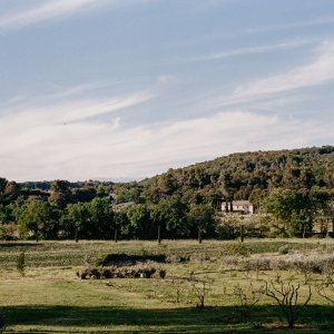 Photo 7 - Farmhouse with park - La vue