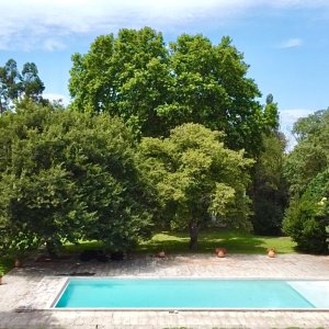 Photo 3 - Mas ancien avec arène et manège couvert - La piscine avec plage immergée de 20x7 m et son jardin de 1000 m²  (Sécurisée par un rideau automatique)