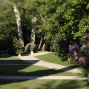 Photo 4 - Exceptional domain in heart of the Camargue - Les jardins