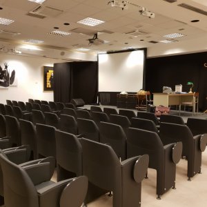 Photo 3 - Un Auditorium pour vos réunions de 100 personnes - 