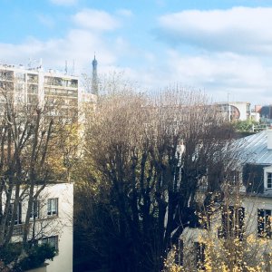 Photo 7 - Duplex de 120 m² avec 20 m² de balcon filant et vue sur jardin privé et la tour Eiffel.   - 