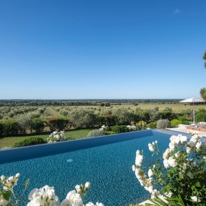 Photo 2 - Villa de charme au cœur d'un domaine oléicole de 240 hectares - La piscine de 15x5 m avec la vue plongeante sur les champs d'oliviers 