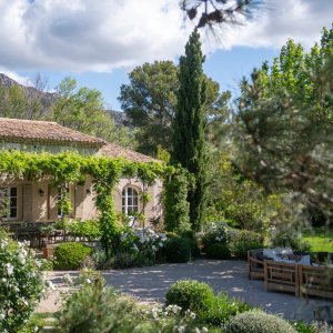 Photo 1 - Villa de charme au cœur d'un domaine oléicole de 240 hectares - La propriété dispose d'un magnifique jardin 