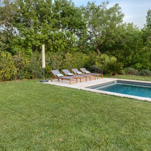 Photo 5 - Mas Provençal de 250 m² avec piscine - La piscine et la pelouse