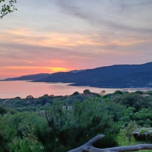 Photo 2 - Villa de charatère en Corse - vue panoramique mer  - Vue panoramique sur le Golfe du Valinco