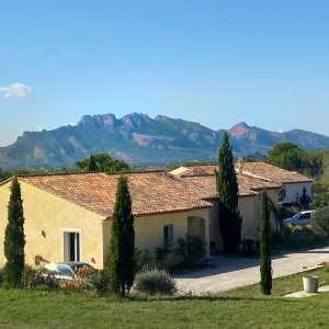 Photo 7 - Villa avec belle piscine et grand jardin extérieur - Vue sur le rocher de Roquebrune