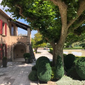 Photo 6 - Domaine au cœur des vignes et des oliviers - Jardin
