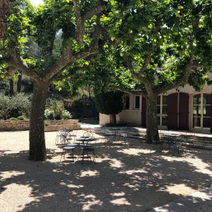 Photo 5 - Estate in the heart of vineyards and olive trees - La cour