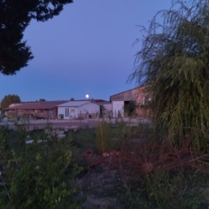 Photo 4 - Ecurie près d'Avignon - vue sur l'écurie