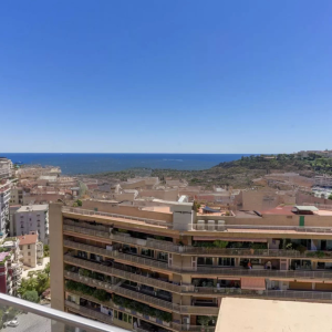 Photo 2 - Terrasse exclusive avec vue imprenable sur le Port de Monaco - La vue