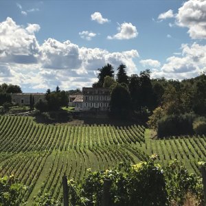 Photo 0 - Maison en pierre girondine au cœur d'un vignoble vallonné - Le domaine