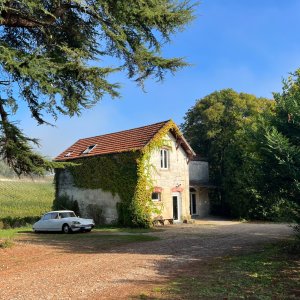 Photo 37 - Gironde stone house in the heart of a hilly vineyard - Dépendance