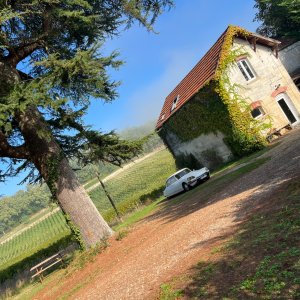 Photo 38 - Gironde stone house in the heart of a hilly vineyard - Dépendance