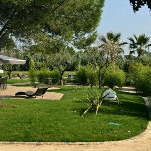 Photo 2 - 400 m² of terrace around a swimming pool in a 4000 m² garden  - jardin vue de l'entrée de propriété. vous apercevez les palmiers au bord de la piscine