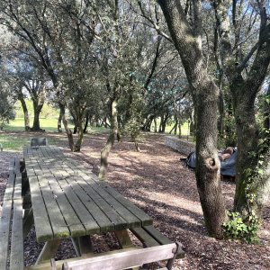 Photo 10 - Parc privé de 2 hectares  - table et banc en bois pour 20 personnes