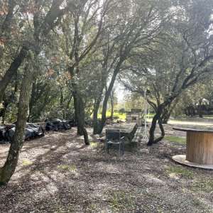 Photo 12 - Parc privé de 2 hectares  - mange debout en bois
