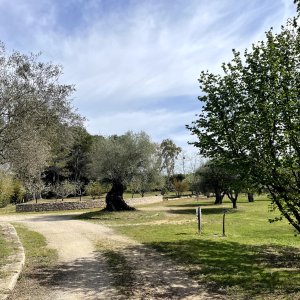 Photo 18 - Parc privé de 2 hectares  - entrée du parc
