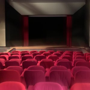 Photo 2 - Théatre/Salle de Cinéma proche du Palais des Festivals - 