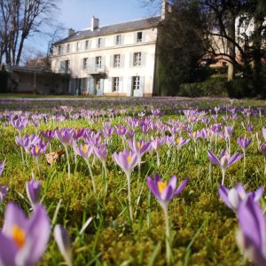 Photo 2 - Jardin classé d'exception de 10 000 m² à 20 min de Paris  - maison vue de la pelouse