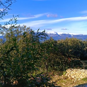 Photo 24 - Villa avec vue sur le Mont Ventoux et les dentelles de Montmirail  - 