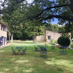 Photo 1 - Maison D'hôtes à La Campagne - La pelouse pour les dîners et événements sous le vieux chêne.