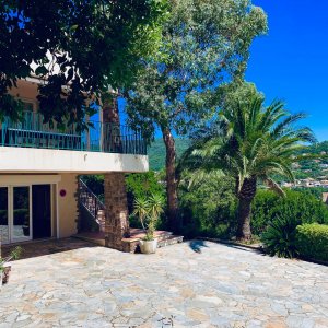 Photo 2 - Villa Cavalaire sur Mer / Saint Tropez - 