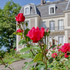 Photo 2 - Château de charme avec un immense jardin  - 