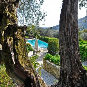 Photo 4 - Bastide (140m2) avec piscine et jacuzzi au coeur d'une oliveraie centenaire - Vue générale sur l'espace piscine