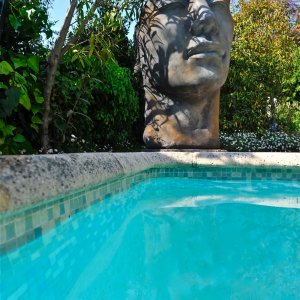 Photo 2 - Bastide (140m2) avec piscine et jacuzzi au coeur d'une oliveraie centenaire - Espace piscine