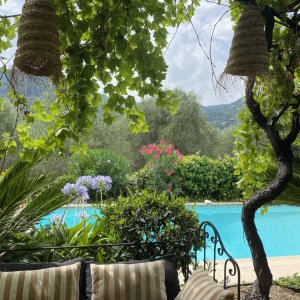Photo 59 - Bastide (140m2) avec piscine et jacuzzi au coeur d'une oliveraie centenaire - Terrasse et piscine 