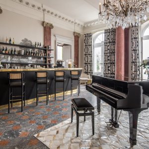 Photo 6 - Château néoclassique à couper le souffle du XVIIIe siècle - Salon bar