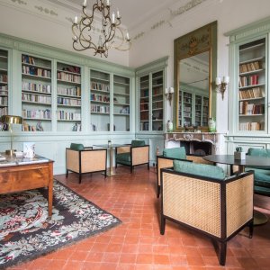 Photo 11 - Château néoclassique à couper le souffle du XVIIIe siècle - Salon bibliothèque 