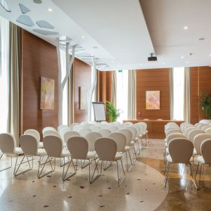 Photo 4 - Opera Meeting Room - La salle de réunion opéra est reliée à la salle Sinfonia