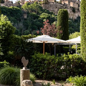 Photo 8 - An Atypical and Exceptional Property in Provence in the heart of the Alpilles! - Espaces Extérieurs