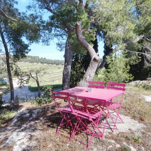 Photo 19 - Mas in the Alpilles with swimming pool - Rocher