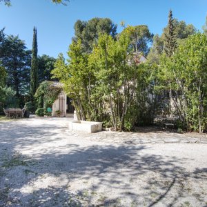 Photo 24 - Mas in the Alpilles with swimming pool - Jardin cour 