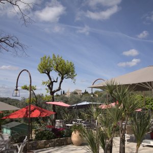 Photo 6 - property of 6500 m2 including restaurant, guest rooms, planted with olive trees, numerous spaces - Terrasse