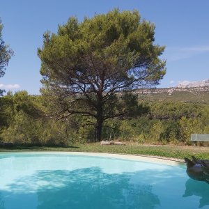 Photo 0 - Grand jardin avec piscine dans la campagne aixoise avec vue sur mer - grande piscine ronde de 9m de diam