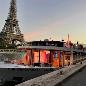 Photo 1 - Location d'une péniche sur la Seine  - 